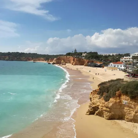 Jeni Residencia Flamingo 포티마오