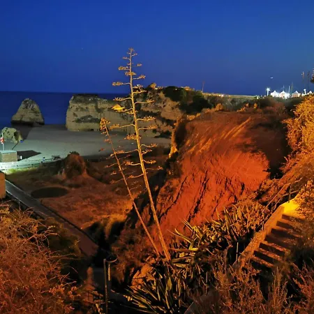 Jeni Residencia Flamingo *