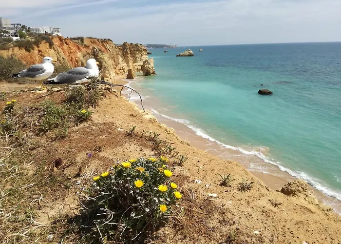 Jeni Residencia Flamingo Portimao