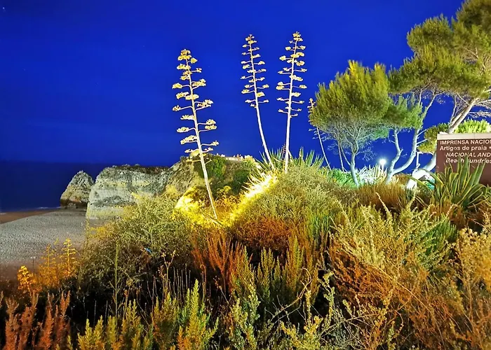 Apartment Jeni Residencia Flamingo