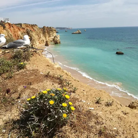 Jeni Residencia Flamingo Portimão