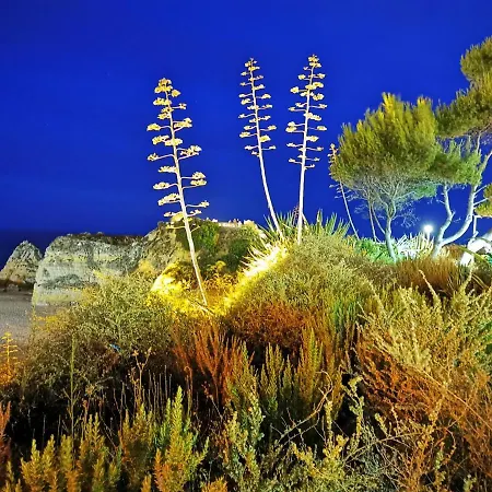 Appartement Jeni Residencia Flamingo