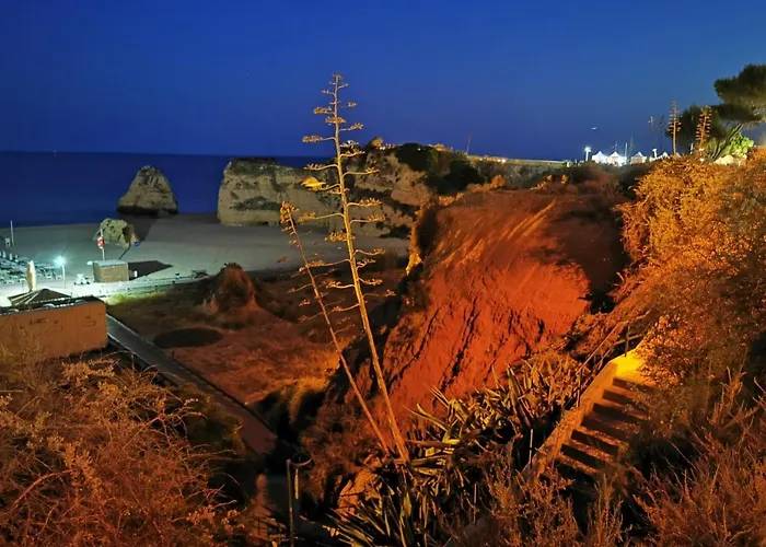 Jeni Residencia Flamingo *